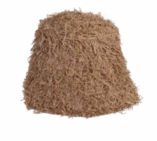 Surf Bob SS25 - Sans-Arcidet