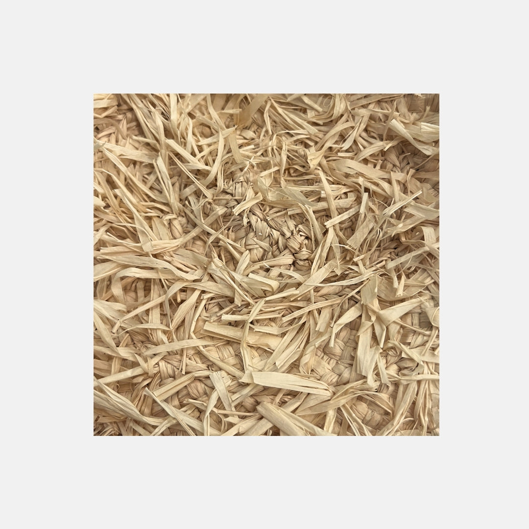 Surf Bob SS25 - Sans-Arcidet