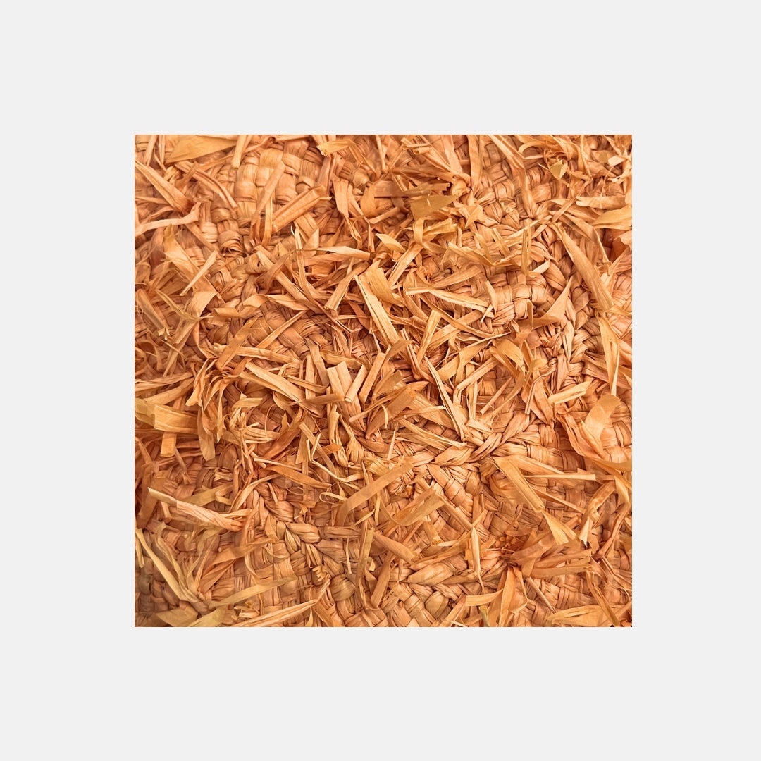 Surf Bob SS25 - Sans-Arcidet