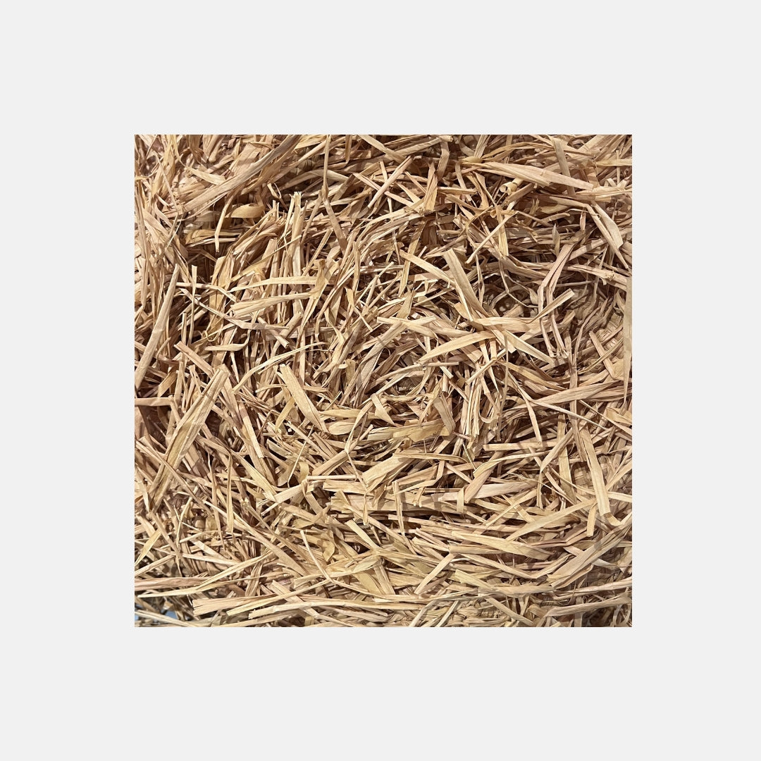 Summertime Hat SS25 - Sans-Arcidet