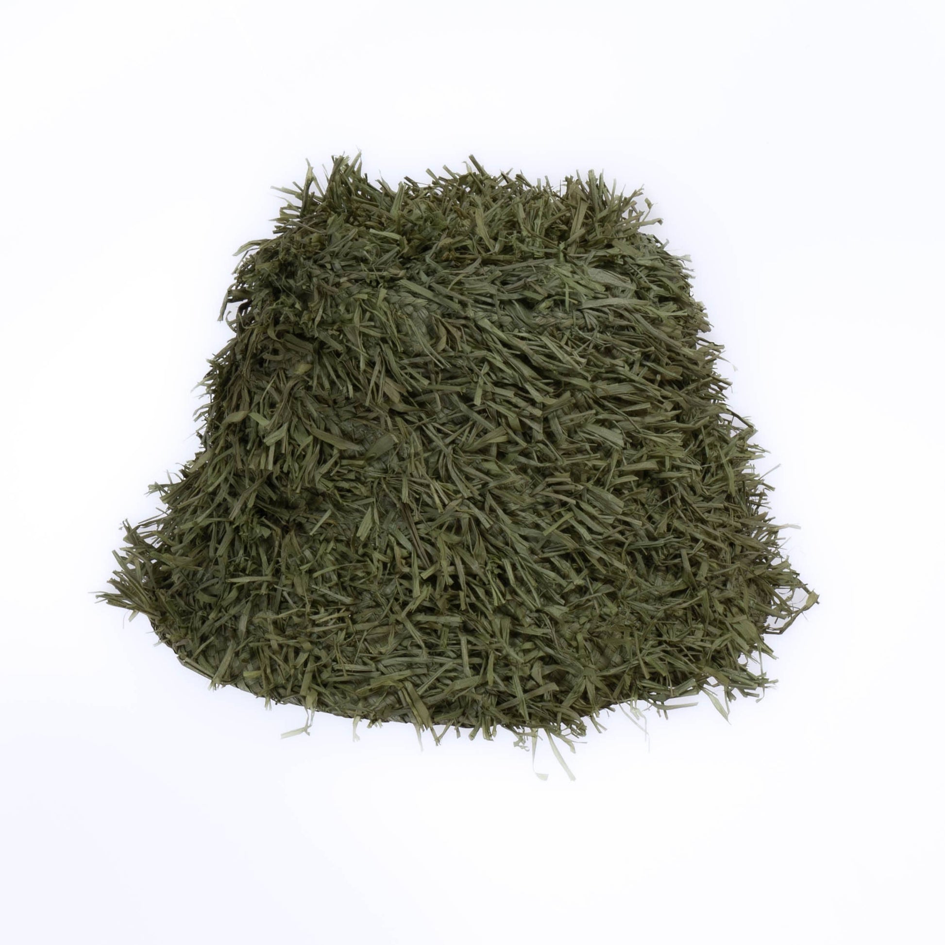 Surf Bob SS25 - Sans-Arcidet